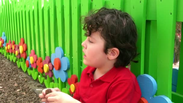 Kleiner Junge posiert draußen am Zaun — Stockvideo