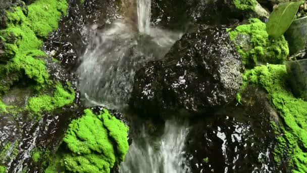 Flowing water — Stock Video