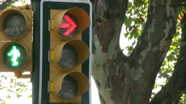 Verkeer signaal — Stockvideo