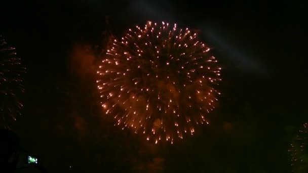 Fuochi d'artificio esplodono nel cielo . — Video Stock