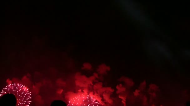 Vuurwerk ontploffen in de lucht. — Stockvideo