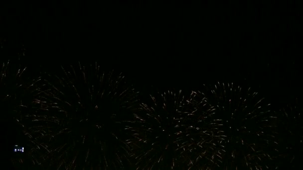 Fuochi d'artificio esplodono nel cielo . — Video Stock
