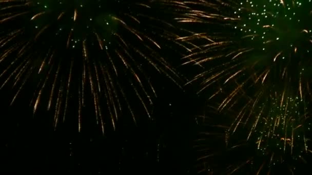 Feu d'artifice explosant dans le ciel . — Video