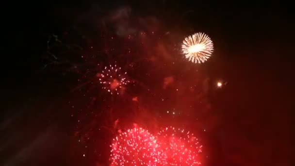 Fogos de artifício explodindo no céu . — Vídeo de Stock