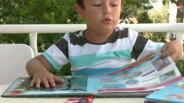Petit garçon lisant le livre — Video