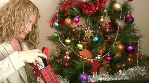 Gülümseyen kadın ve Noel ağacı portre — Stok video