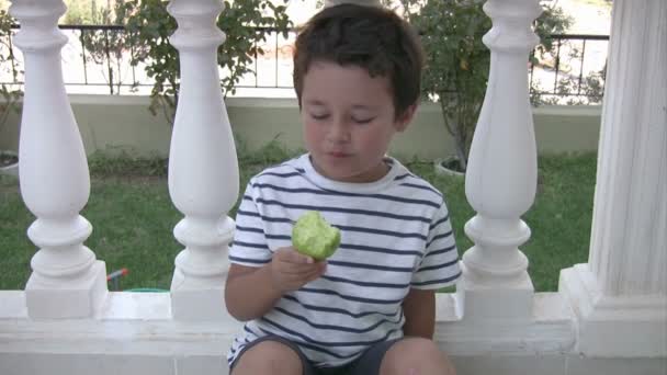 Маленький мальчик ест яблоко — стоковое видео