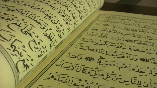 The Quran — Stock Video