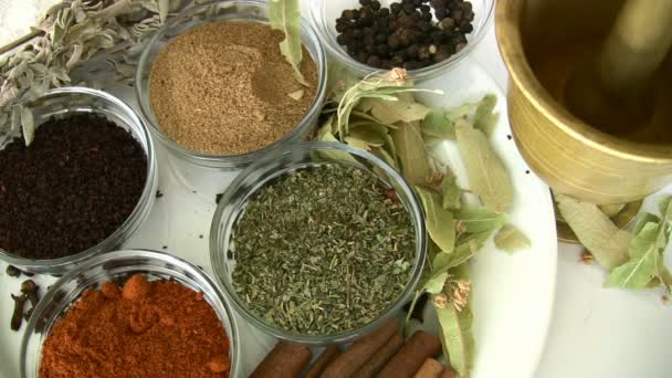 Herbal and Spice — Stock Video