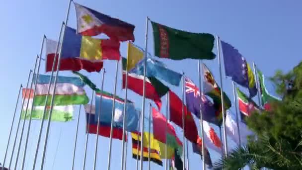 International flags — Stock Video