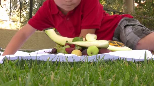 Little boy eating fruit at picnic outdoors — Stock Video