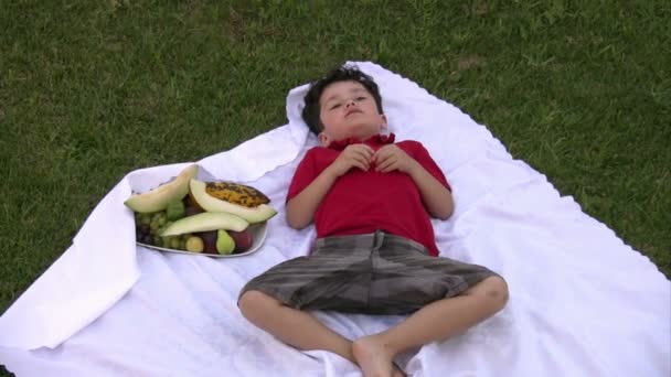 Menino comendo frutas no piquenique ao ar livre — Vídeo de Stock