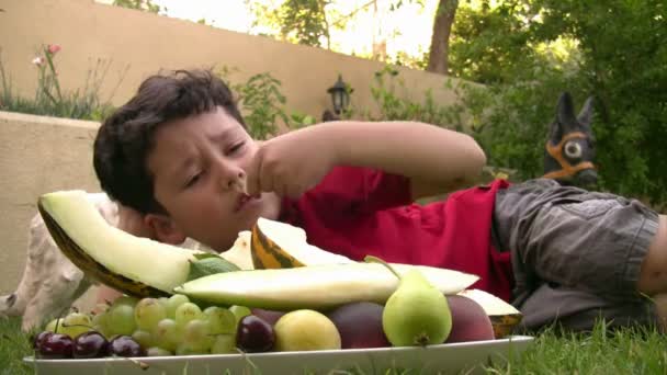 Mały chłopiec jedząc owoce na piknik na świeżym powietrzu — Wideo stockowe