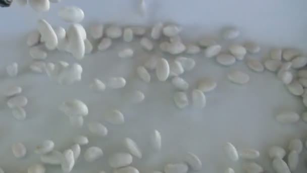 Frijoles blancos de Lima — Vídeo de stock