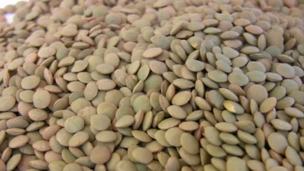 堆的小扁豆 — 图库视频影像
