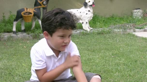 小男孩和蚊子 — 图库视频影像
