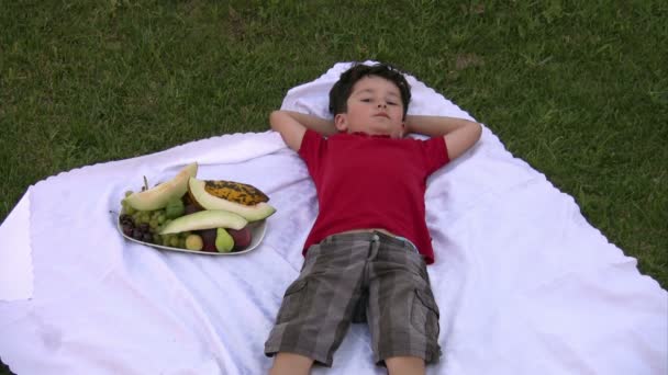 Kleine jongen eten fruit bij picknick buitenshuis — Stockvideo