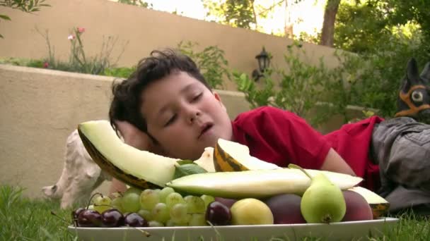 Niño comiendo fruta en el picnic al aire libre — Vídeos de Stock