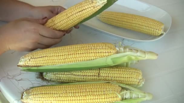 Peeling corncobs — Stockvideo