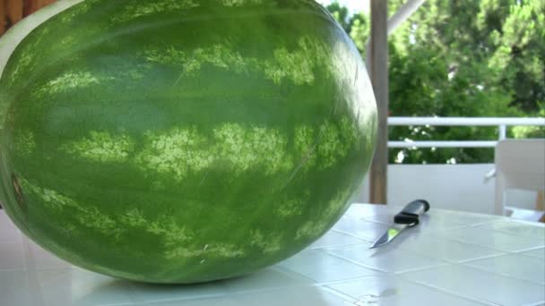 Wassermelone und Scheibe — Stockvideo