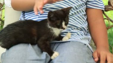 Mutlu küçük çocuk onun kitty seviyor