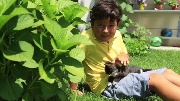 Happy little boy loves his kitty — Stock Video