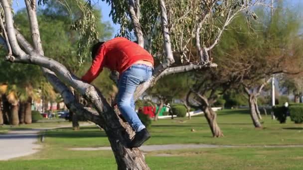 Niño trepando un árbol — Vídeos de Stock