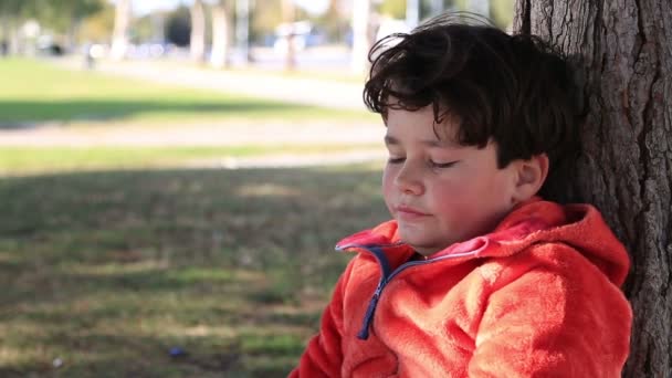 Retrato de un niño sonriente con ropa casual mostrando los pulgares hacia arriba — Vídeos de Stock