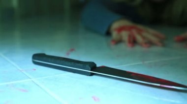 Kadın el elinde bıçak ile kan 4