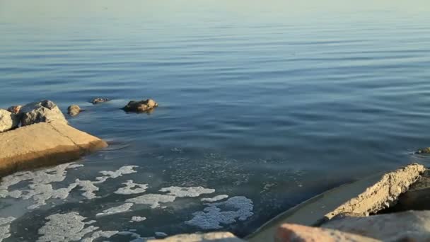 Tubo di scarico ambientale inquinante che scarica in mare i prodotti in vita — Video Stock