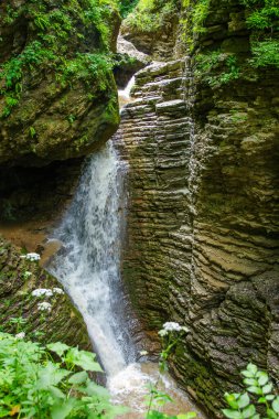 Abhazya ormanındaki şelale