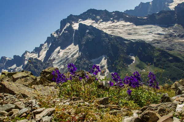 Kafkasların dağ manzarası
