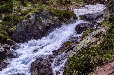 Dağ nehrinin resimli manzarası