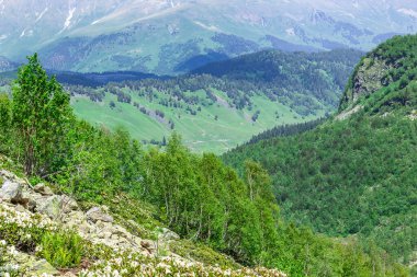 Arkhyz 'in dağ manzaraları