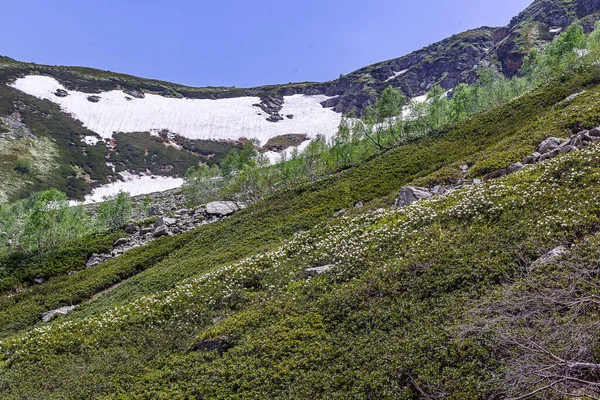 Malerische Berglandschaft Von Arkhyz — Stockfoto