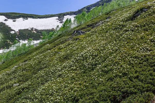 Malerische Berglandschaft Von Arkhyz — Stockfoto