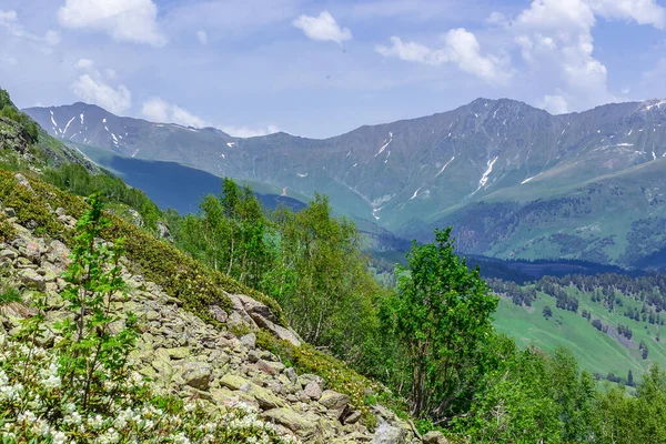 Fjelllandskap Arkhyz – stockfoto