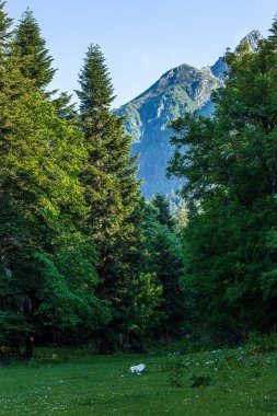 Arkhyz 'in resimli dağ manzarası