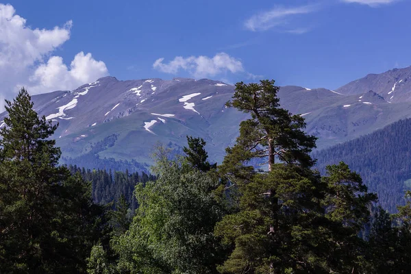 Picturesque Mountain Landscape Arkhyz — 스톡 사진