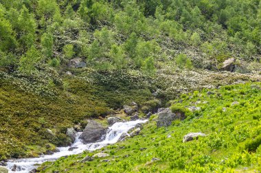 Arkhyz 'in nehir manzarası