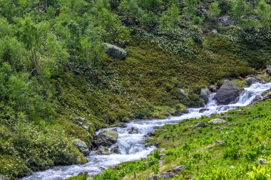 Arkhyz 'in nehir manzarası