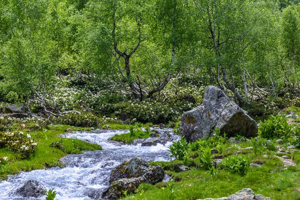 Flodlandskap Arkhyz — Stockfoto