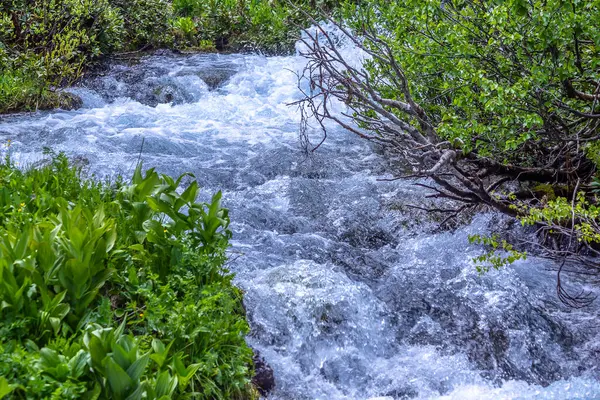 Arkhyz 'in nehir manzarası