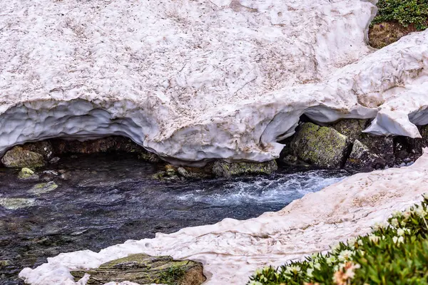 Arkhyz 'in nehir manzarası