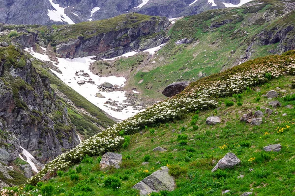 Arkhyz Resimli Dağ Manzarası — Stok fotoğraf