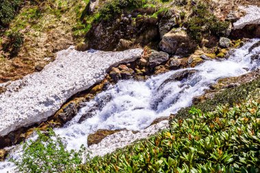 Arkhyz 'in nehir manzarası