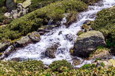 Arkhyz 'in nehir manzarası