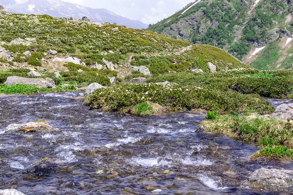 Paisaje Fluvial Arkhyz — Foto de Stock