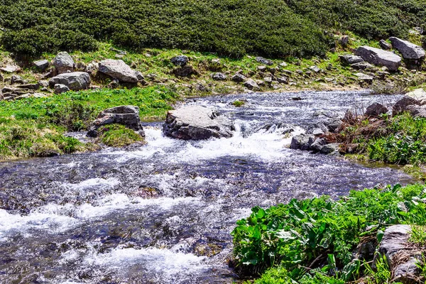 Arkhyz 'in nehir manzarası