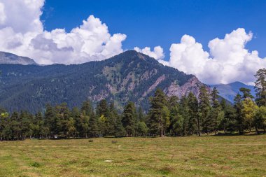 Rusya 'da nefes kesici manzara